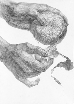 手のデッサン「両手と果物」をテーマに構成／B3サイズ