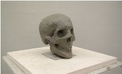 彫刻実習「塑造制作：頭骨」