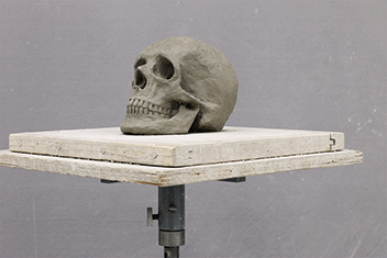 彫刻科実習「粘土カービング：頭骨」