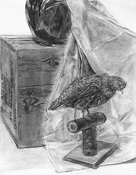 木炭で描いた静物デッサン