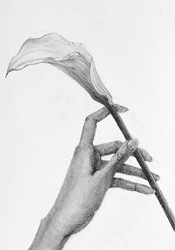 デザイン科実習「鉛筆：手のデッサン」