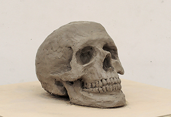 彫刻科実習「塑造制作：頭骨」