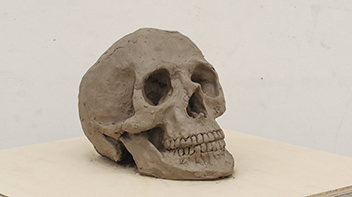 彫刻科実習「塑造制作：頭骨」