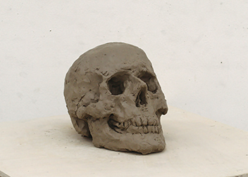 彫刻塑造「頭骨」