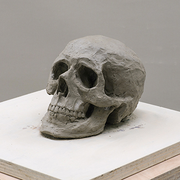 彫刻科実習「塑造：石膏像模刻『頭蓋骨』」