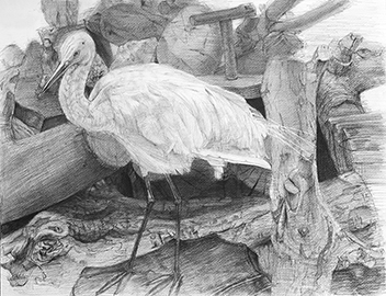 静物デッサン／鉛筆