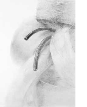 昼間部生／静物素描「ひとかたまり」／木炭紙